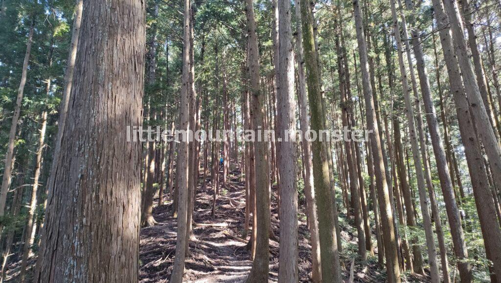 【スタート】名郷バス停から武川岳を目指す
