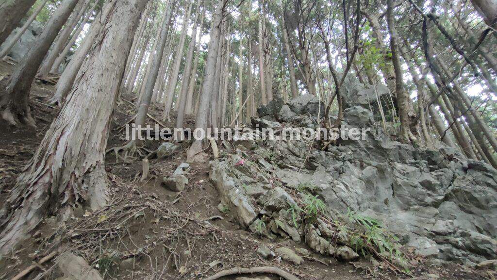 【スタート】名郷バス停から武川岳を目指す