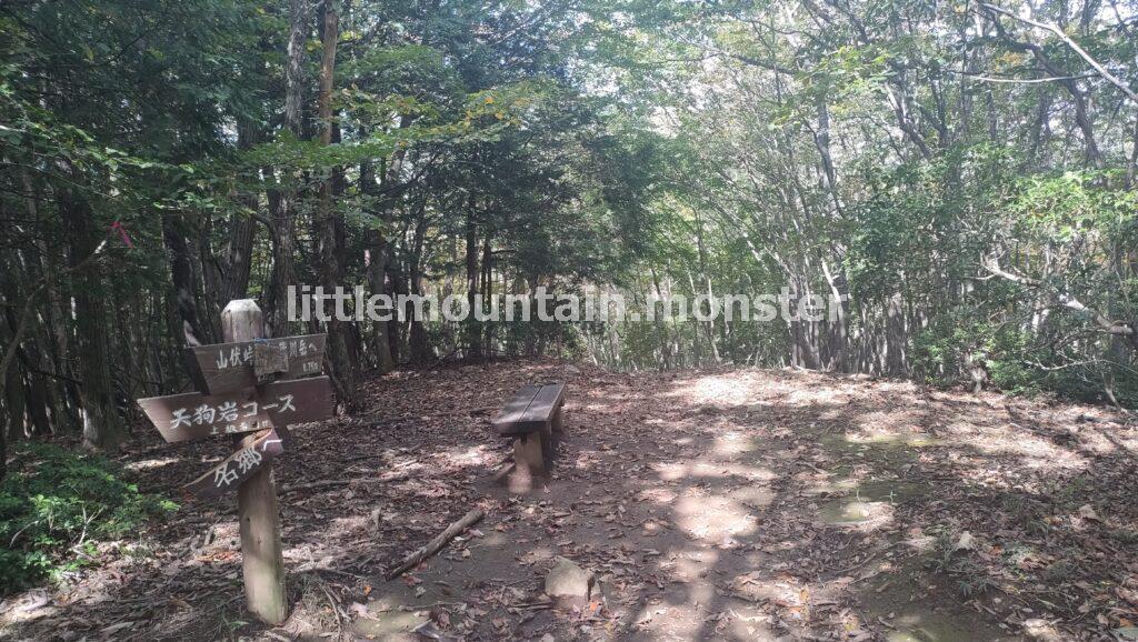 1,000m地点×前武川岳(1,003 m)に到着
