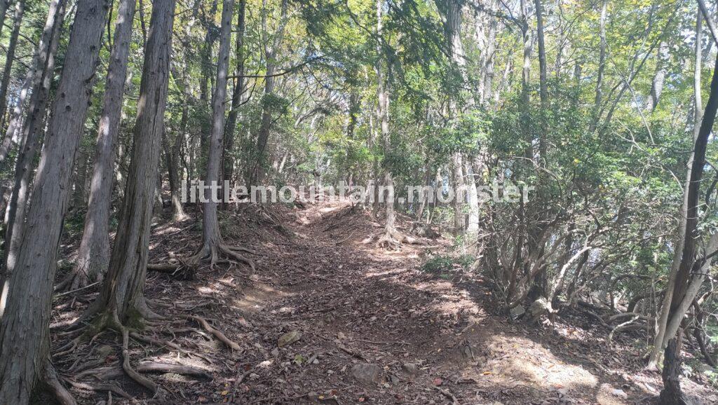 1,000m地点×前武川岳(1,003 m)に到着