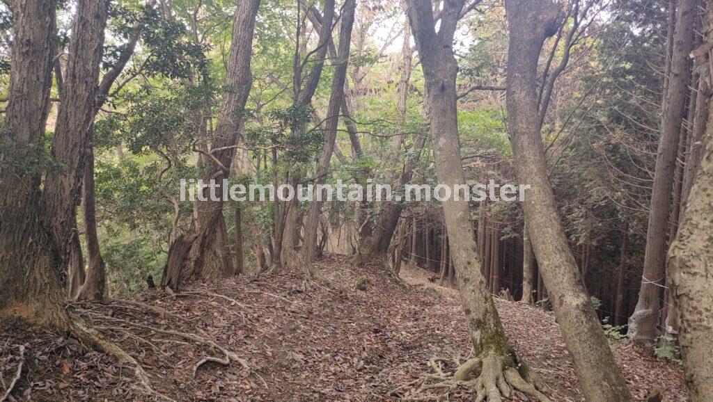 本日の縦走コースの最高地点!武川岳(1,051.7 m)
