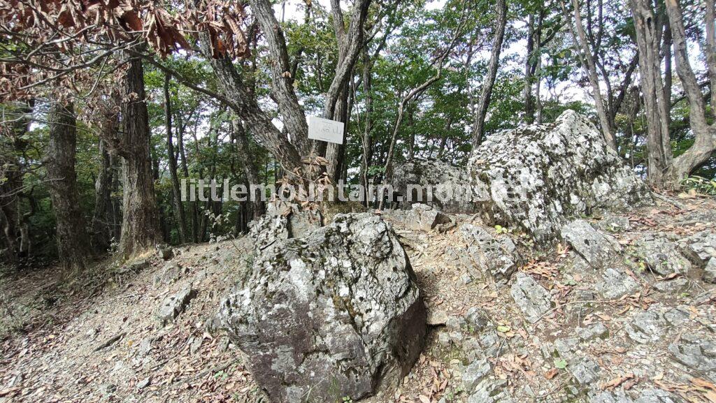 気づかずに通り過ぎるな!蔦岩山(1,004 m)