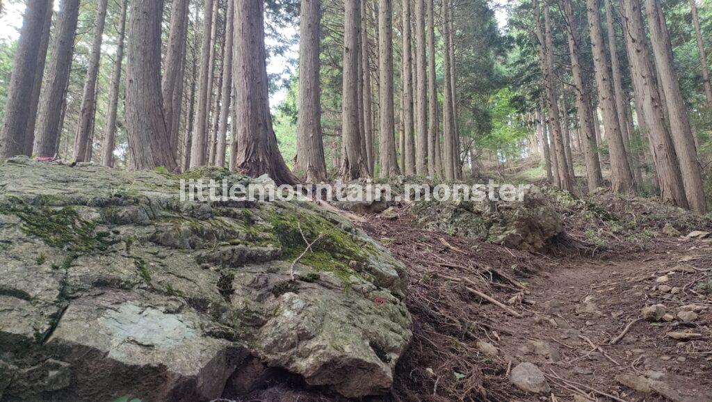 気づかずに通り過ぎるな!蔦岩山(1,004 m)