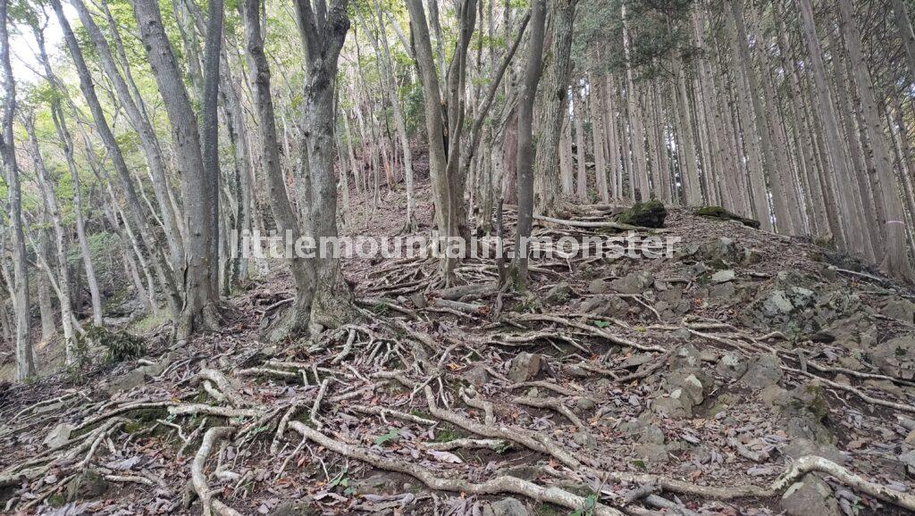 この登山コースで唯一展望のある山頂!焼山(850 m)