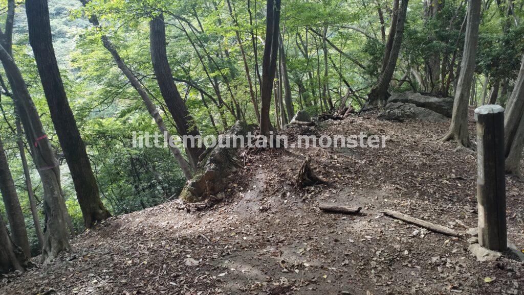 山頂がふたつ!横瀬二子山雄岳(882.8 m)・ 雌岳(870 m)