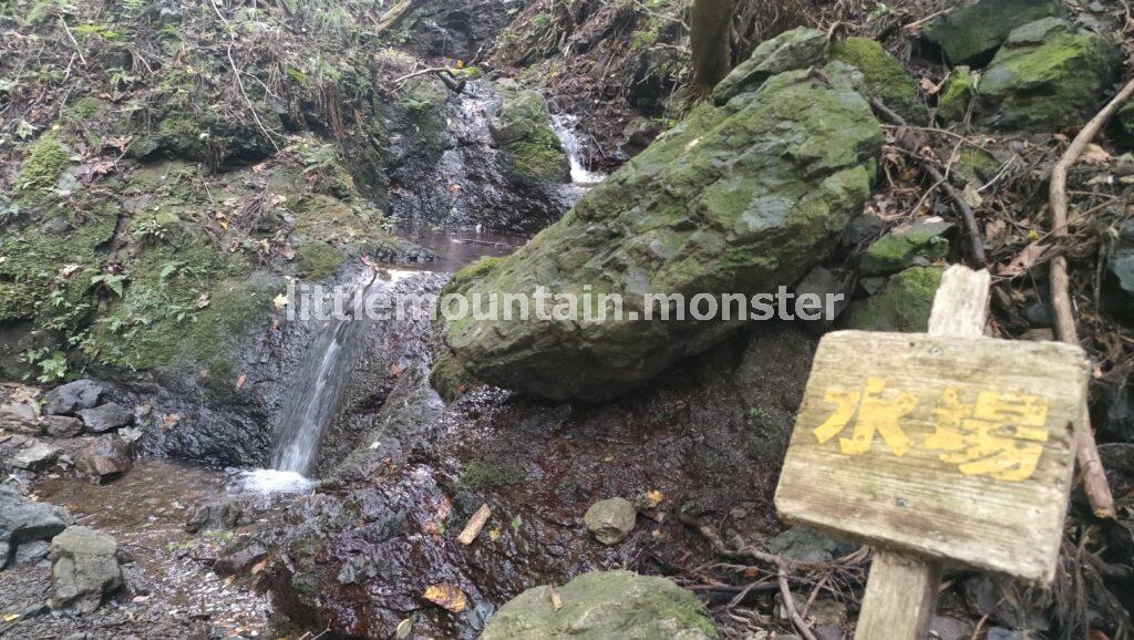 山頂がふたつ!横瀬二子山雄岳(882.8 m)・ 雌岳(870 m)