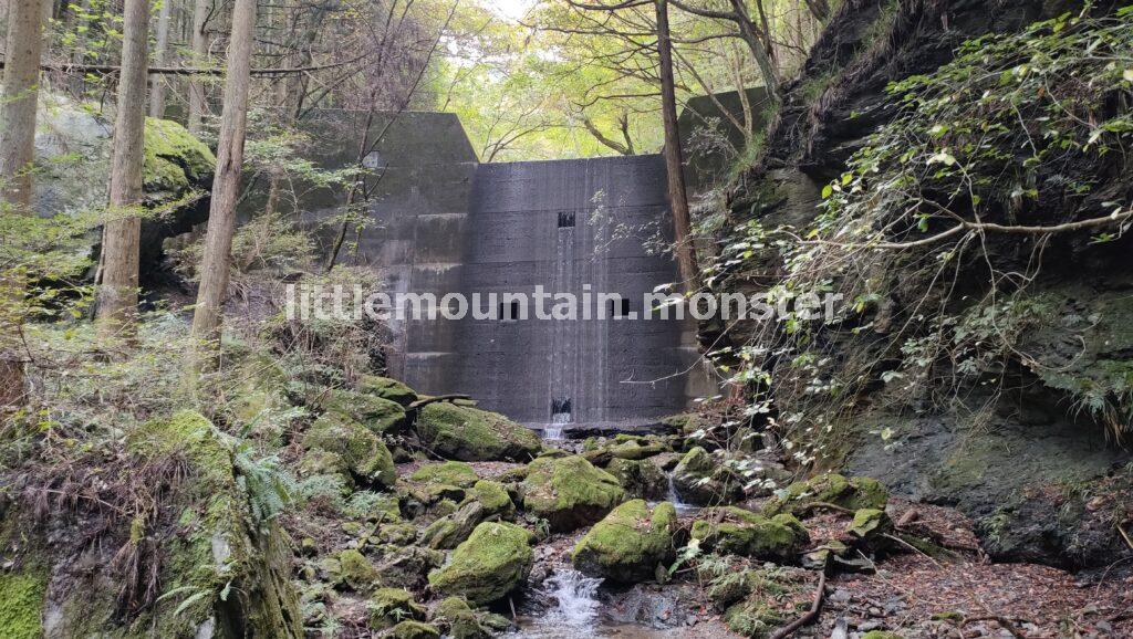 蕨山の山頂を目指して登っていくよ