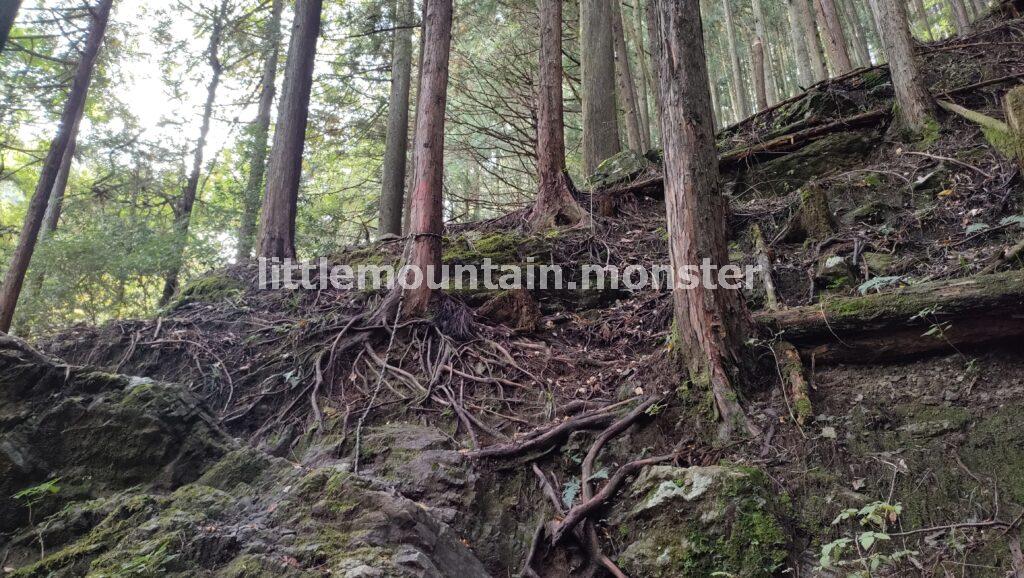 蕨山の山頂を目指して登っていくよ