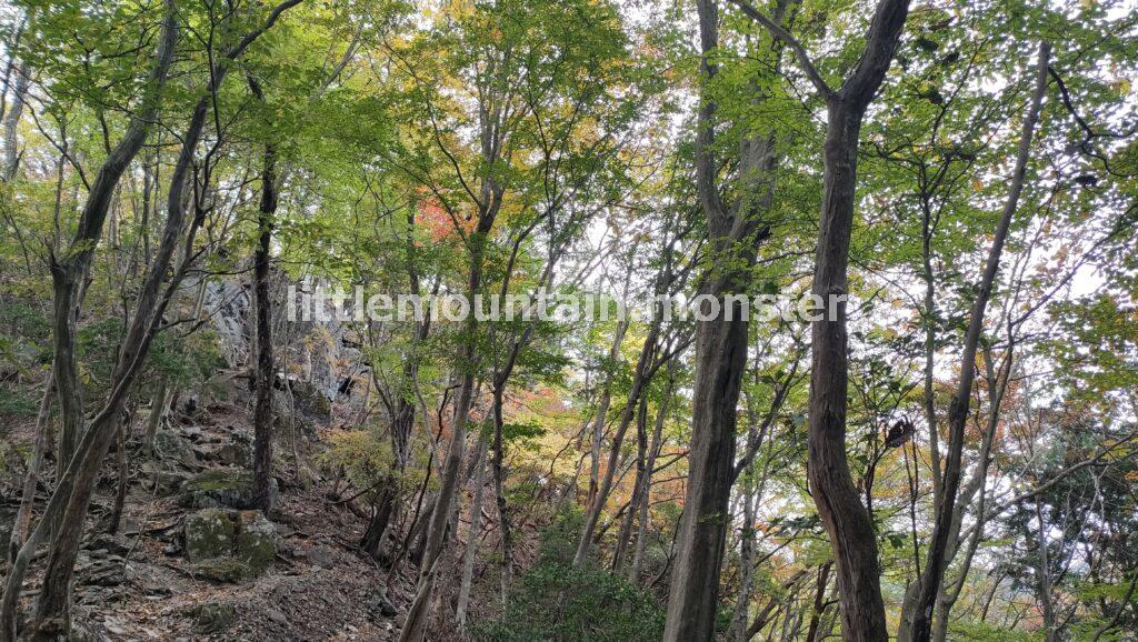 蕨山の山頂を目指して登っていくよ