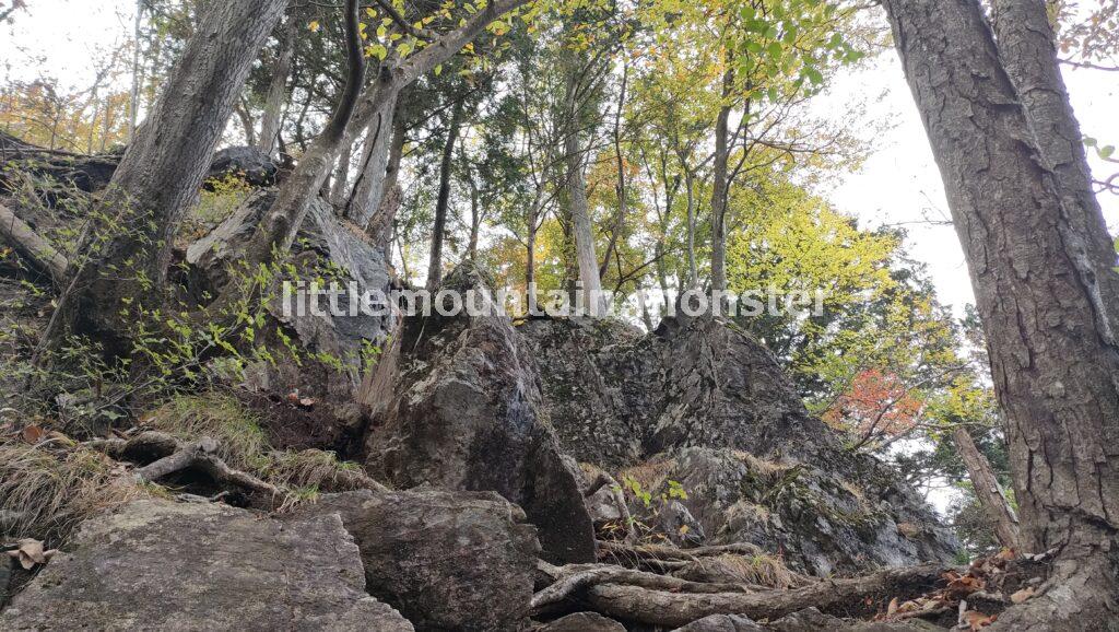 蕨山の山頂を目指して登っていくよ