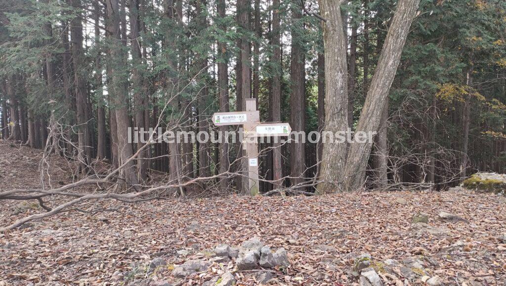蕨山の山頂を目指して登っていくよ