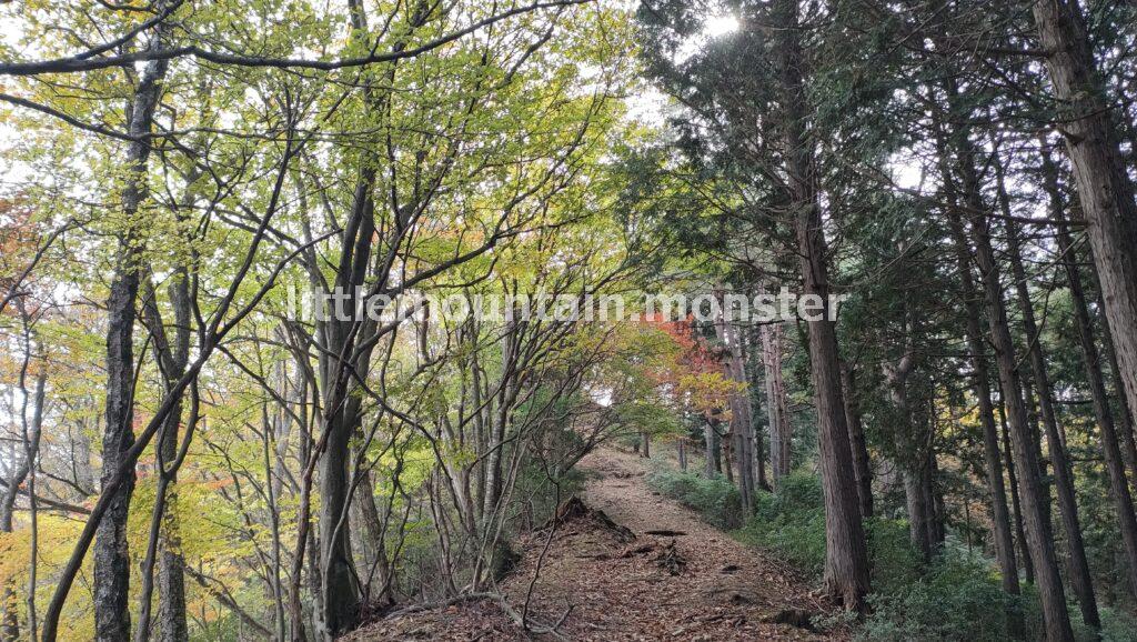 蕨山の山頂を目指して登っていくよ