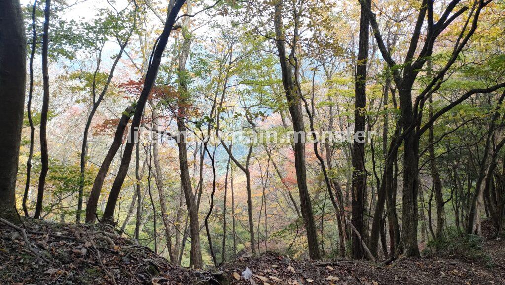 さわらびの湯を目指してくだる