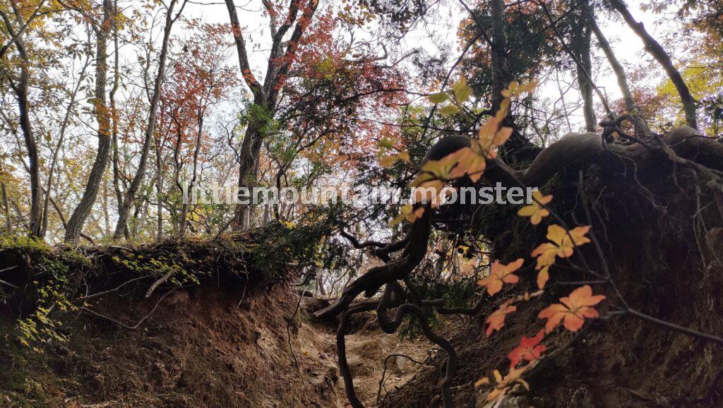 さわらびの湯を目指してくだる