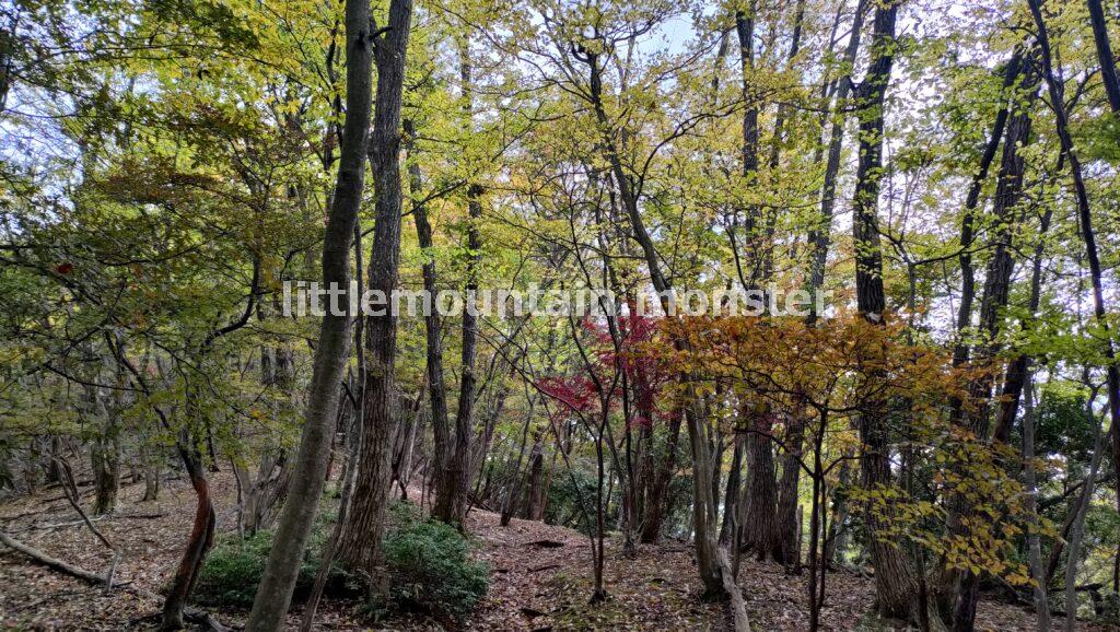 さわらびの湯を目指してくだる