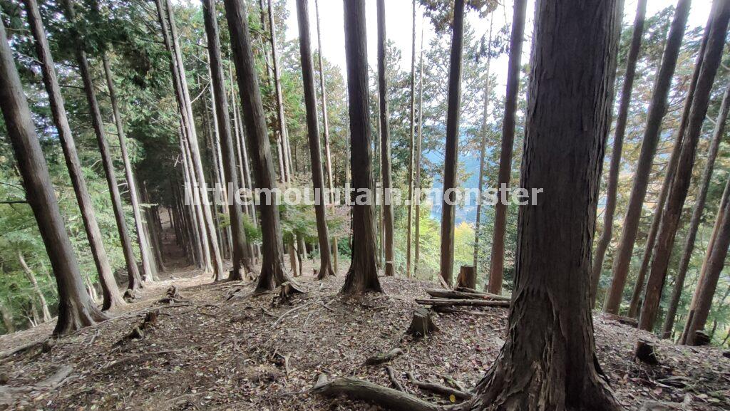 さわらびの湯を目指してくだる