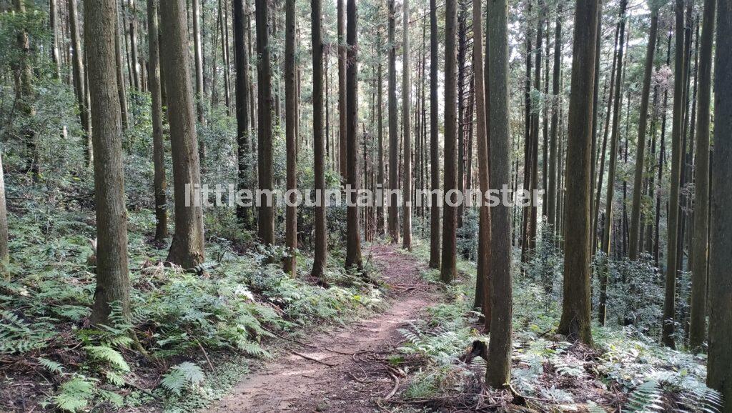さわらびの湯を目指してくだる