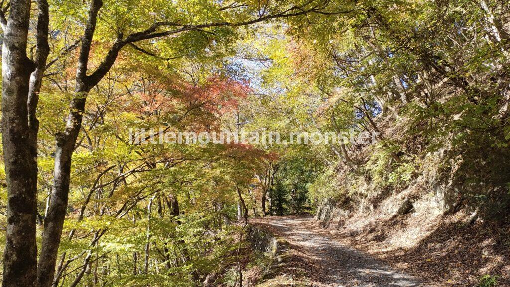 緑と黄色と紅!渓流沿いの林道で三条の湯を目指す