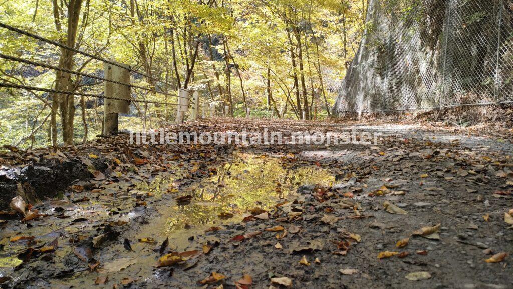 緑と黄色と紅!渓流沿いの林道で三条の湯を目指す
