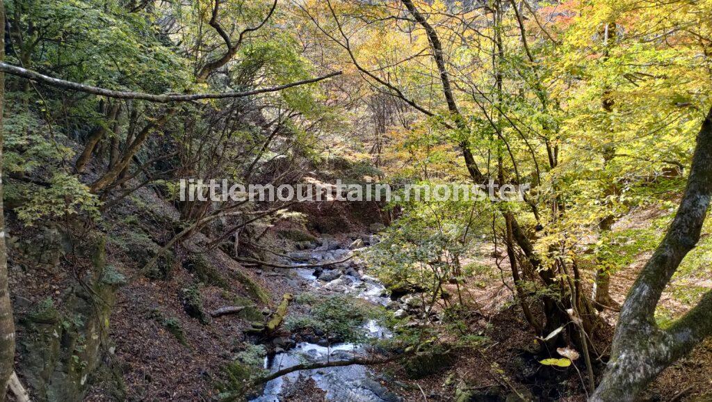 緑と黄色と紅!渓流沿いの林道で三条の湯を目指す