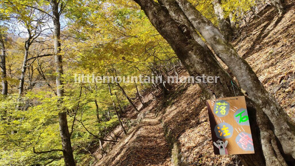 緑と黄色と紅!渓流沿いの林道で三条の湯を目指す