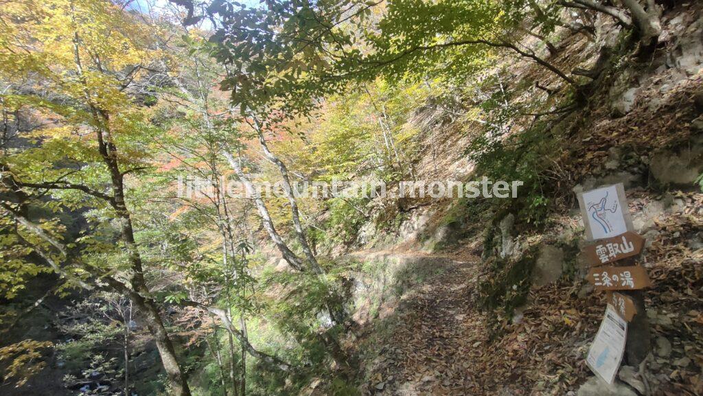 緑と黄色と紅!渓流沿いの林道で三条の湯を目指す