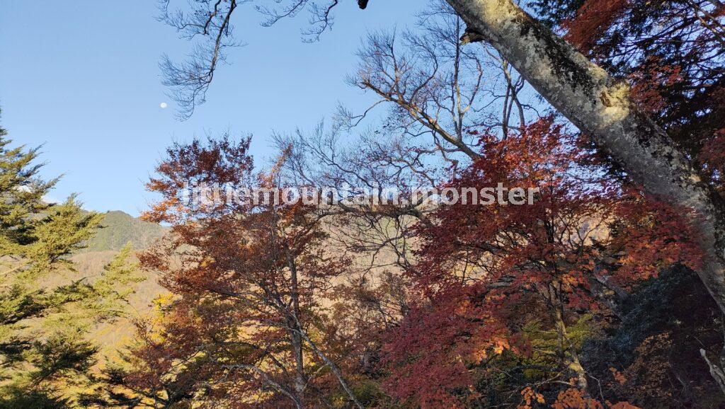 三条の湯を出発！雲取山の頂上を目指して登る