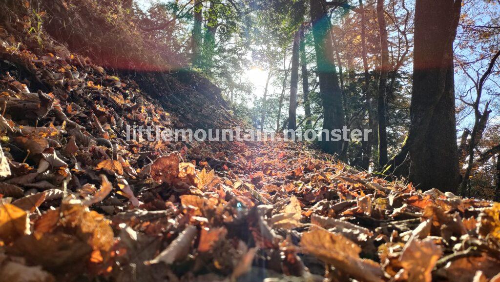 三条の湯を出発！雲取山の頂上を目指して登る