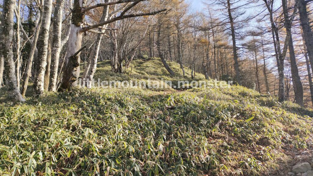 山登りのご褒美！紅葉すすむ三条ダルミからの大パノラマ