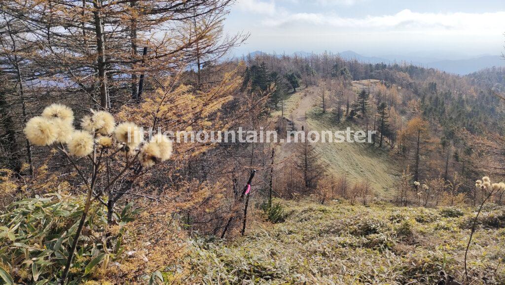 石尾根ズドーン！避難小屋から雲取山山頂（2017m）へ