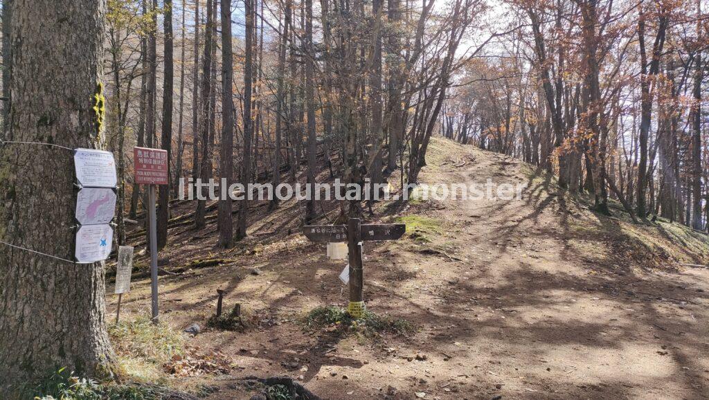 1本道！七ツ石山目指して石尾根を自分の脚で歩くよ<