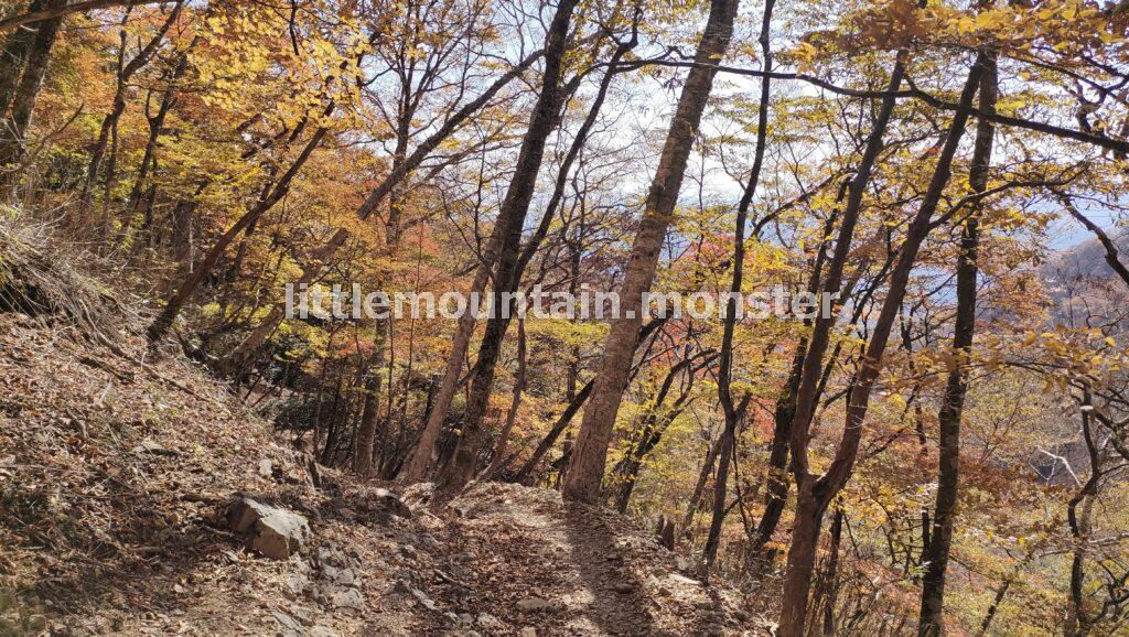 鴨沢バス停まで、紅葉の樹林を下る