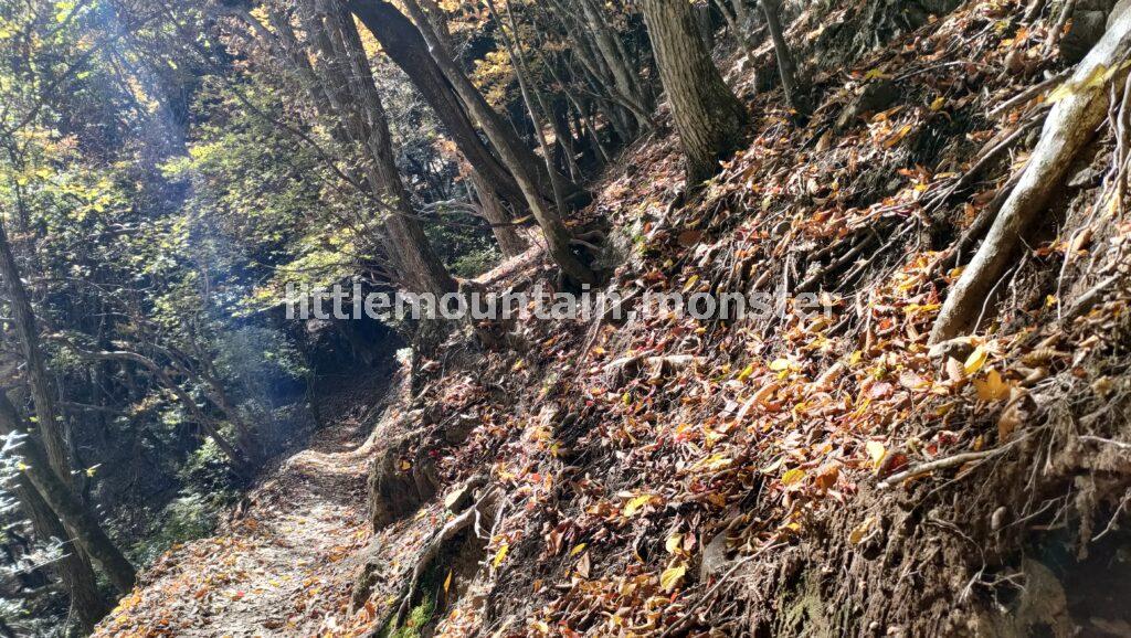 鴨沢バス停まで、紅葉の樹林を下る