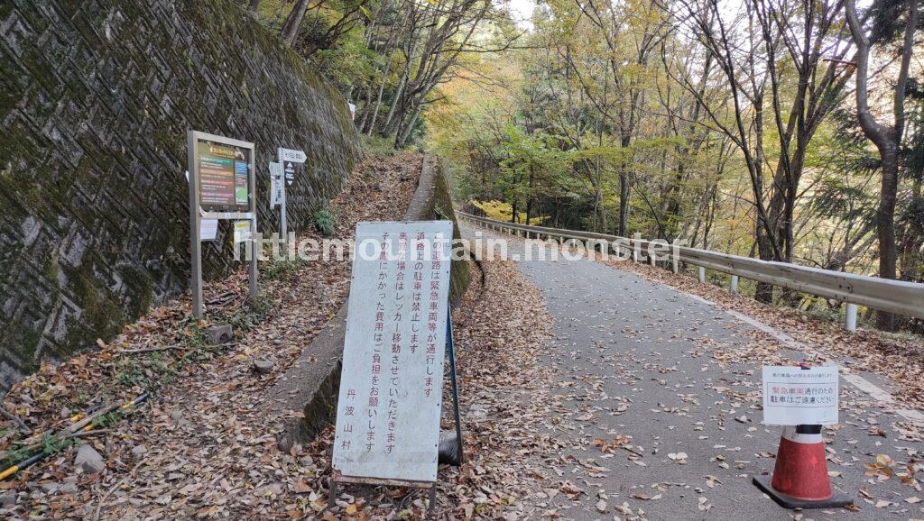 鴨沢バス停まで、紅葉の樹林を下る