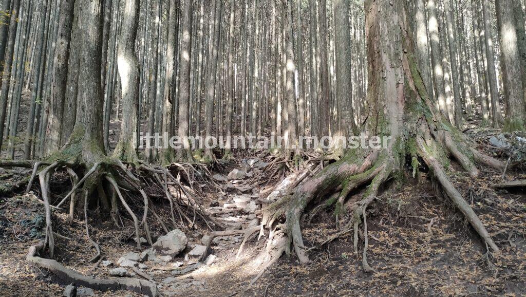 武甲山御嶽神社の一の鳥居から、武甲山山頂を目指す