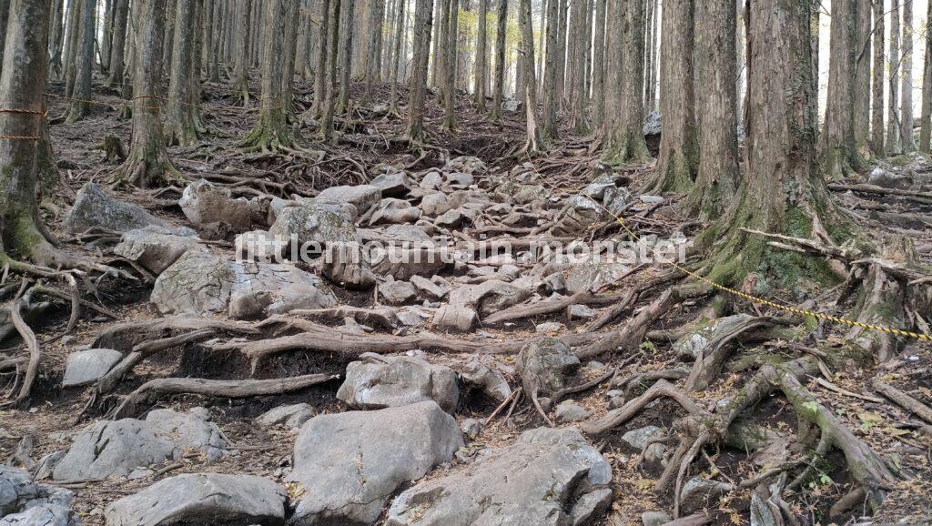 武甲山御嶽神社の一の鳥居から、武甲山山頂を目指す