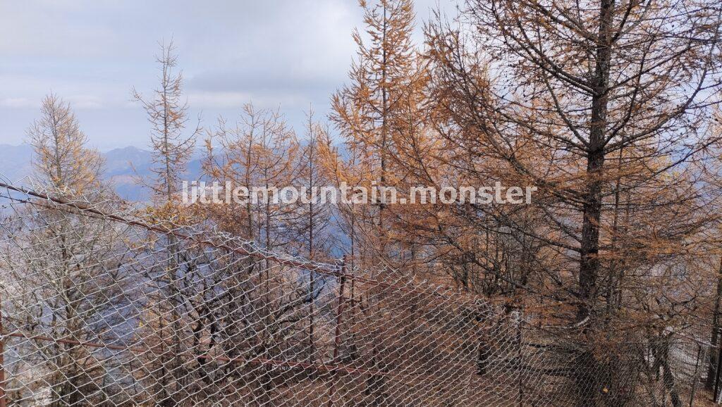 武甲山御嶽神社→山頂（1,304m）でひと休み