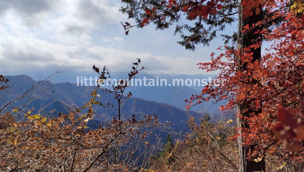 武甲山の裏参道（浦山口・橋立）ルートを下って行くよ