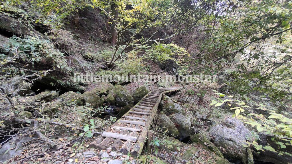 武甲山の裏参道（浦山口・橋立）ルートを下って行くよ