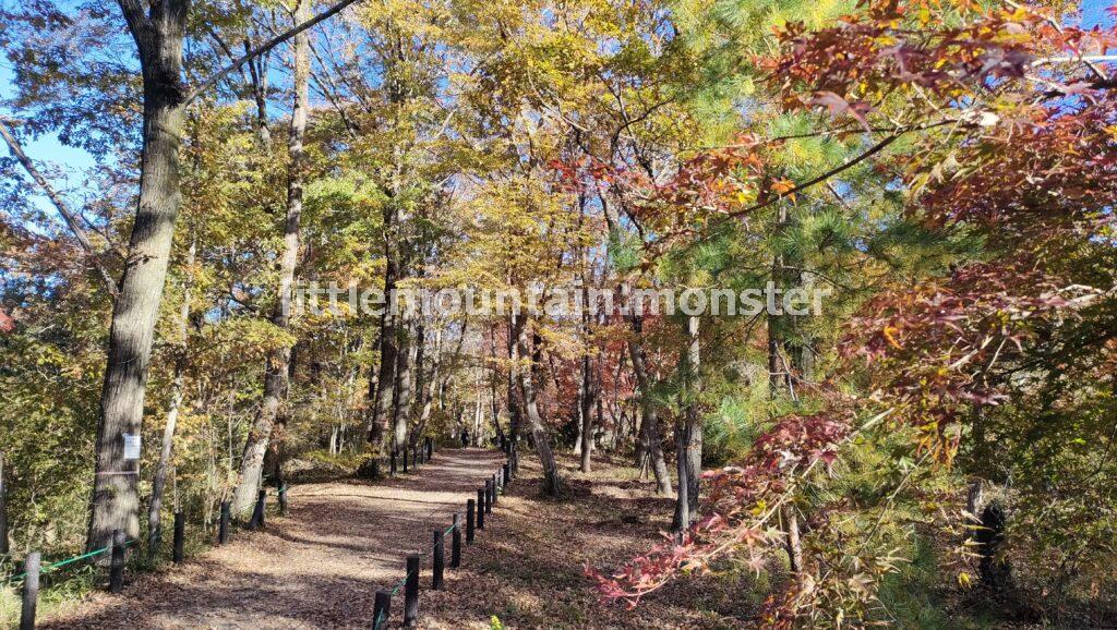 展望台から与謝野晶子「比企の渓」歌碑