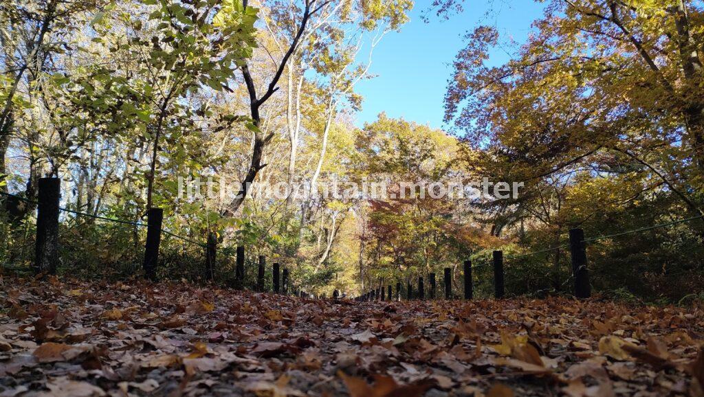 展望台から与謝野晶子「比企の渓」歌碑