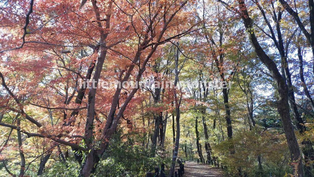 展望台から与謝野晶子「比企の渓」歌碑