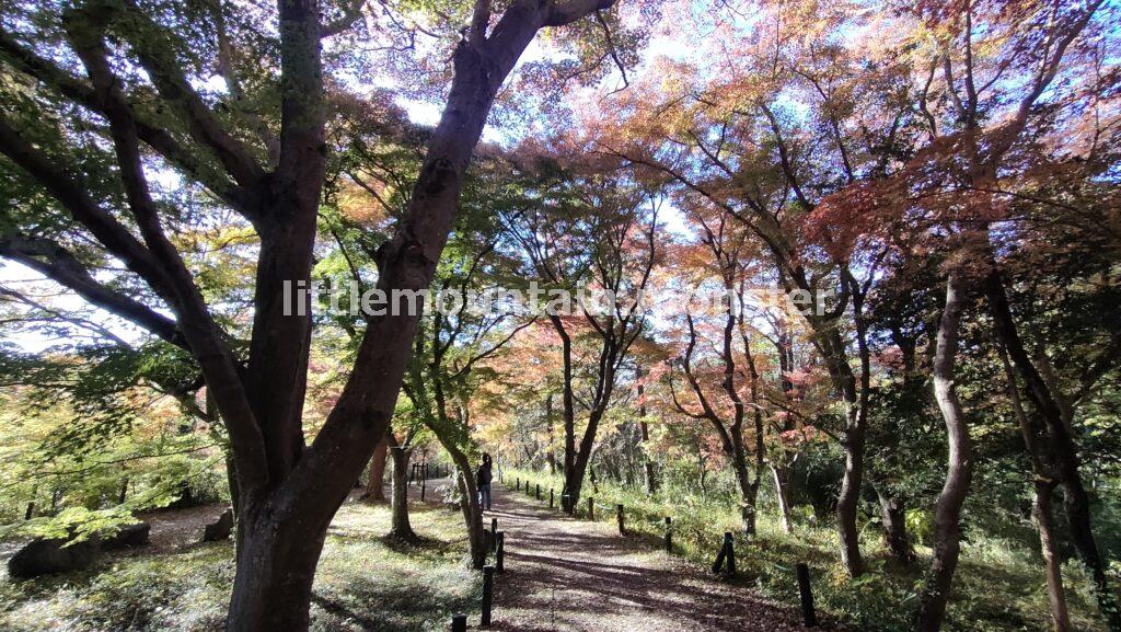 展望台から与謝野晶子「比企の渓」歌碑