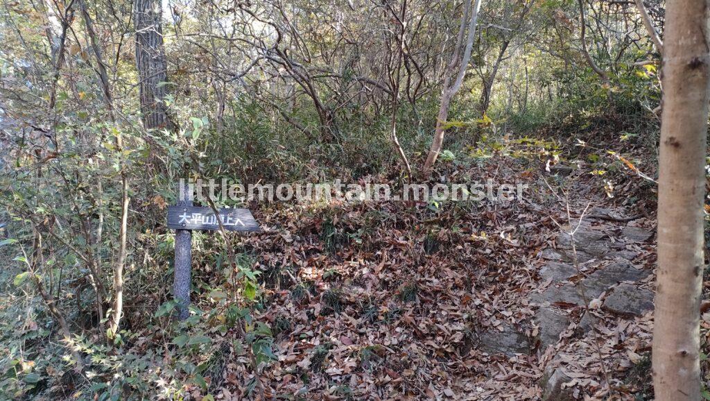 大平山頂上（178m）を目指して登る