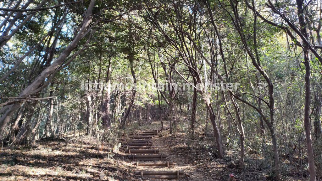 大平山頂上（178m）を目指して登る