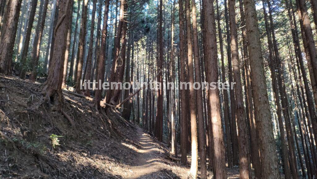 華厳の滝登山口から、破風山を登っていくよ