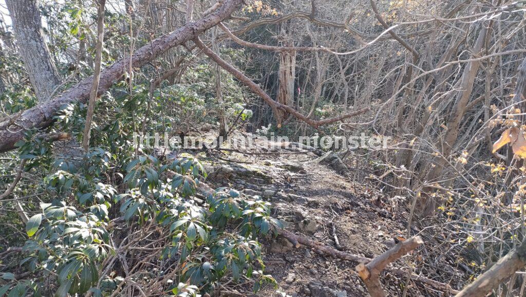 天狗山→大前山→武蔵展望台→札立峠!皆野アルプスを行く