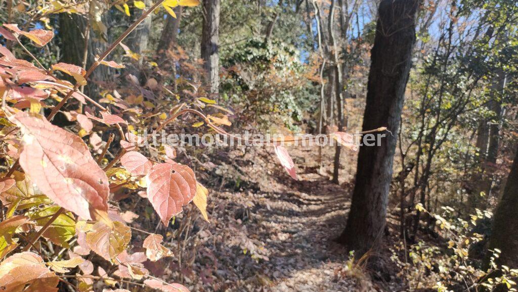天狗山→大前山→武蔵展望台→札立峠!皆野アルプスを行く