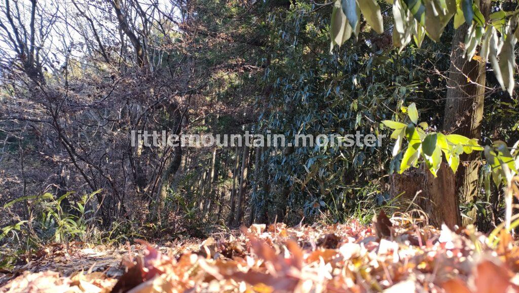 道迷い!東屋から男体拝→前原山と、皆野アルプスへ