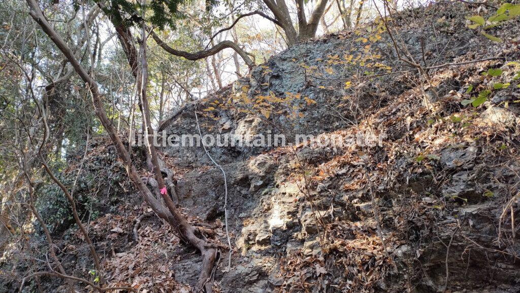 道迷い!東屋から男体拝→前原山と、皆野アルプスへ